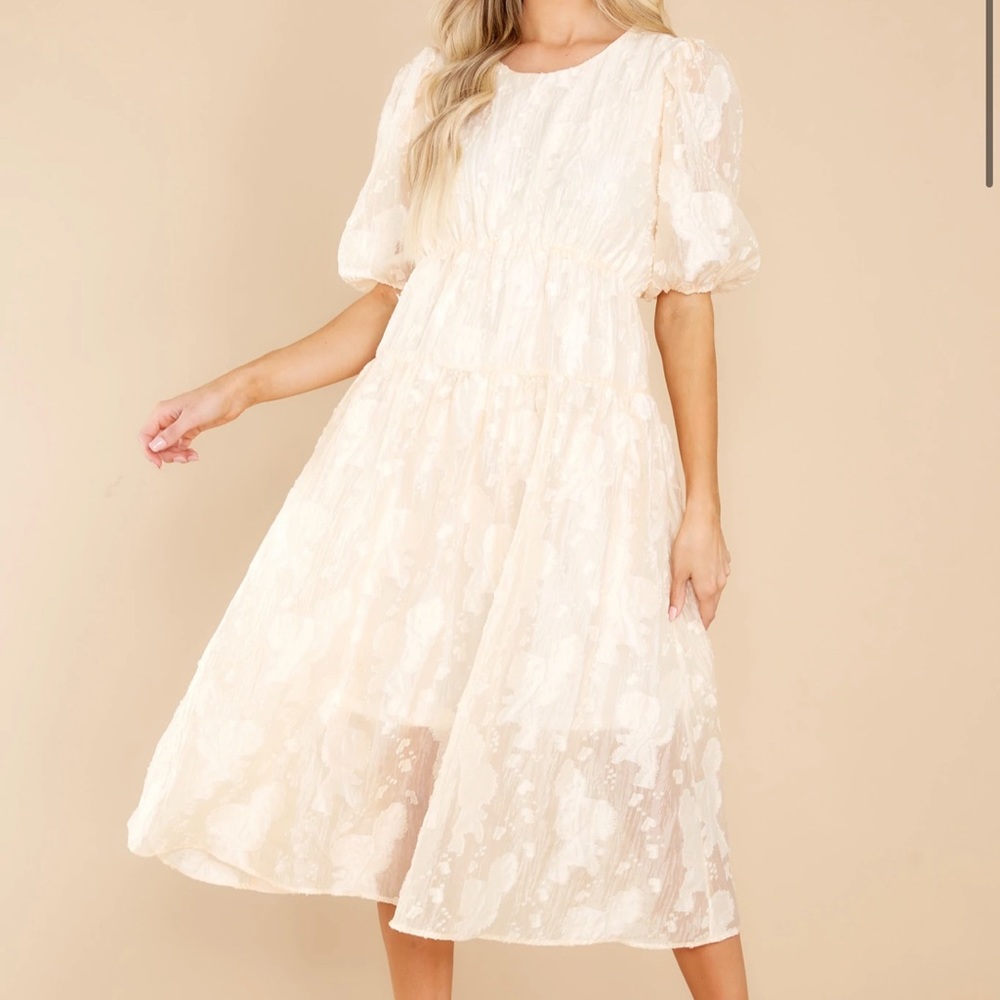 NWT- Moon River Dress bought from Red Dress Boutique